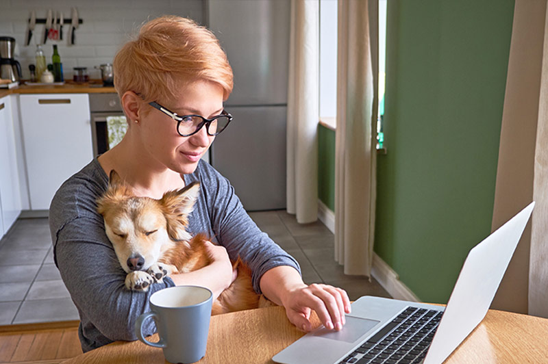 Woman on laptop holding her dog