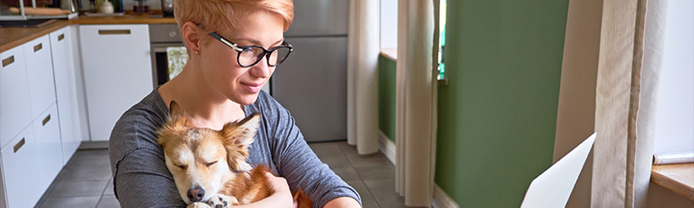 Woman on laptop holding her dog