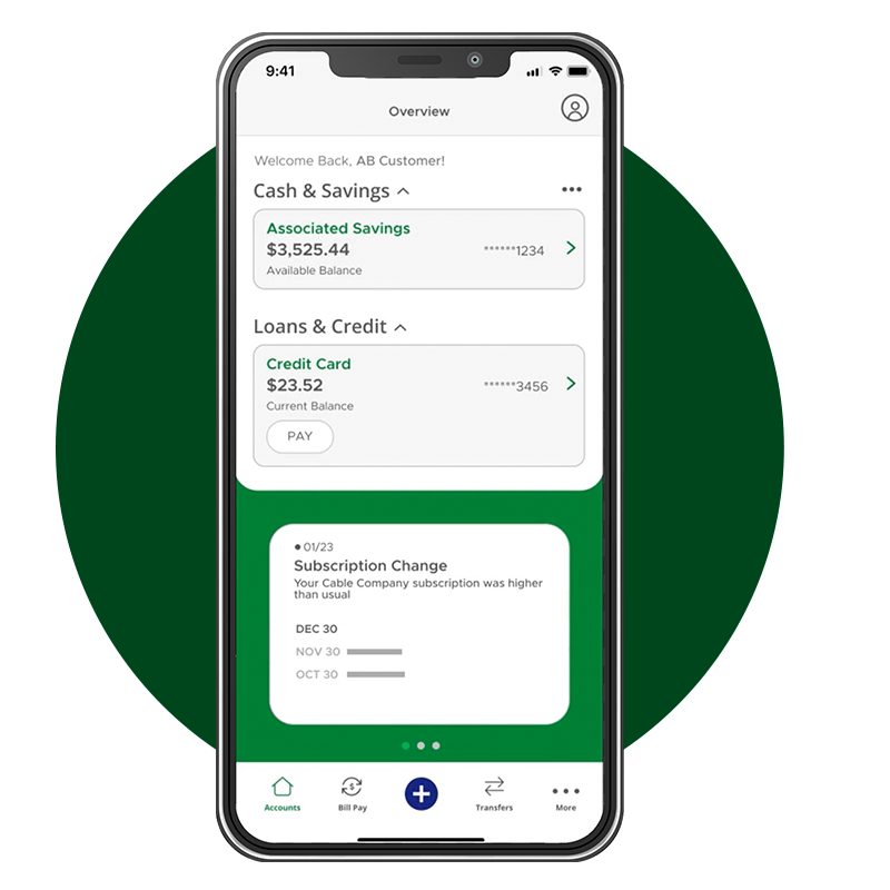 Money Monitor on the app